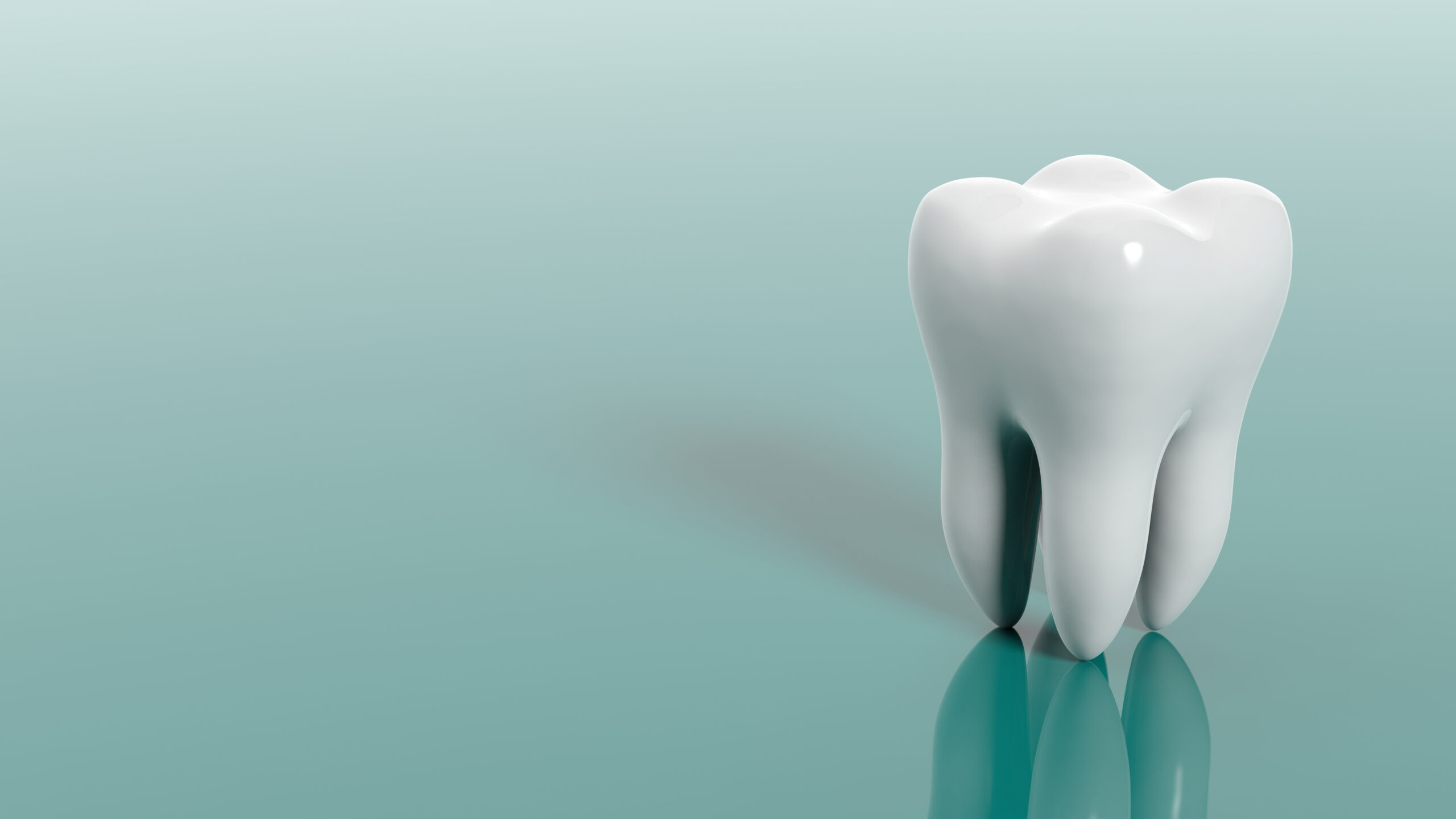 根管治療が痛い理由は歯根の数 苦痛を伴う治療を回避する方法もお伝えします 浦和もちまる歯科 矯正歯科クリニック